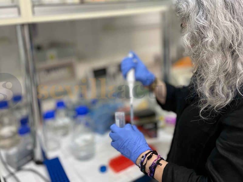 Laboratorio del Hospital Virgen Macarena - Clara Fajardo