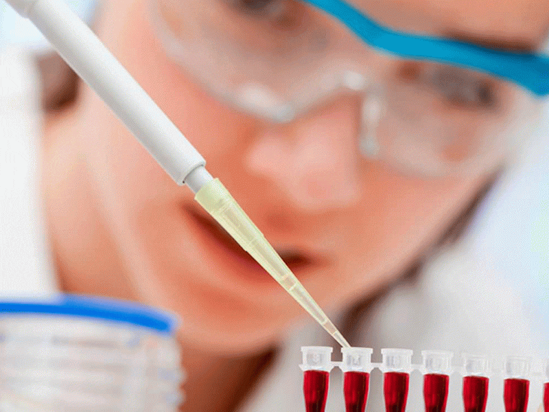 Laboratorio