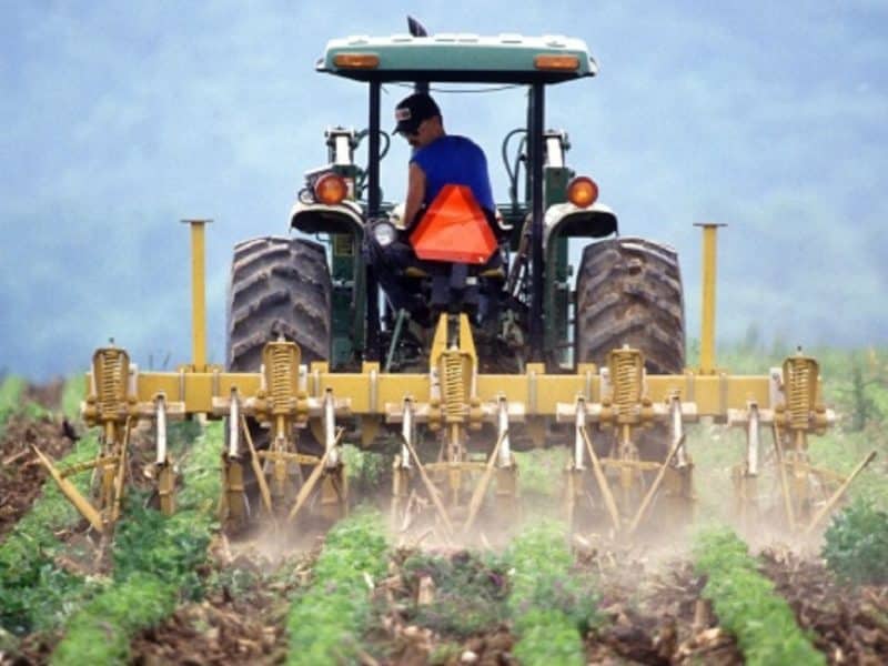 Agricultor trabajando en el campo