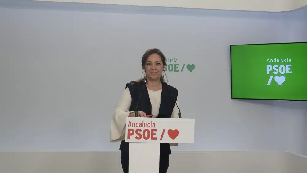 La portavoz de Fomento, Articulación del Territorio y Vivienda del Grupo Socialista en el Parlamento andaluz, Isabel Ambrosio, en rueda de prensa en la sede regional del PSOE-A. - PSOE-A