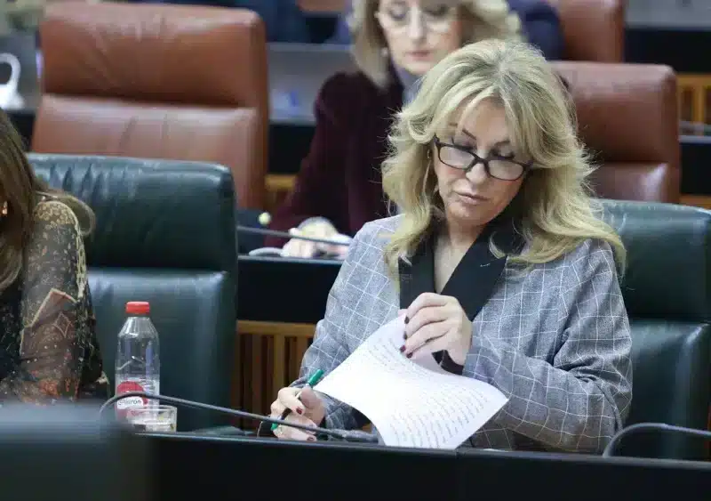 La consejera de hacienda, Carolina España, durante el pleno. A 18 de diciembre de 2024, en Sevilla, Andalucía (España). El Parlamento de Andalucía celebra la primera jornada de su Pleno, se llevará a cabo el debate final sobre la proposición de Ley de Par - Rocío Ruz - Europa Press