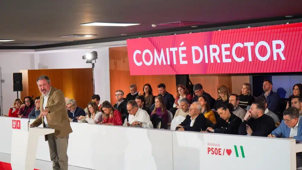 El secretario general del PSOE de Andalucía, Juan Espadas interviene en el Comité Director del partido. A 20 de diciembre de 2024, en Jaén, Andalucía (España). El secretario general del PSOE de Andalucía, Juan Espadas, ha participado en Jaén en la reunión - Adelina Cortés - Europa Press