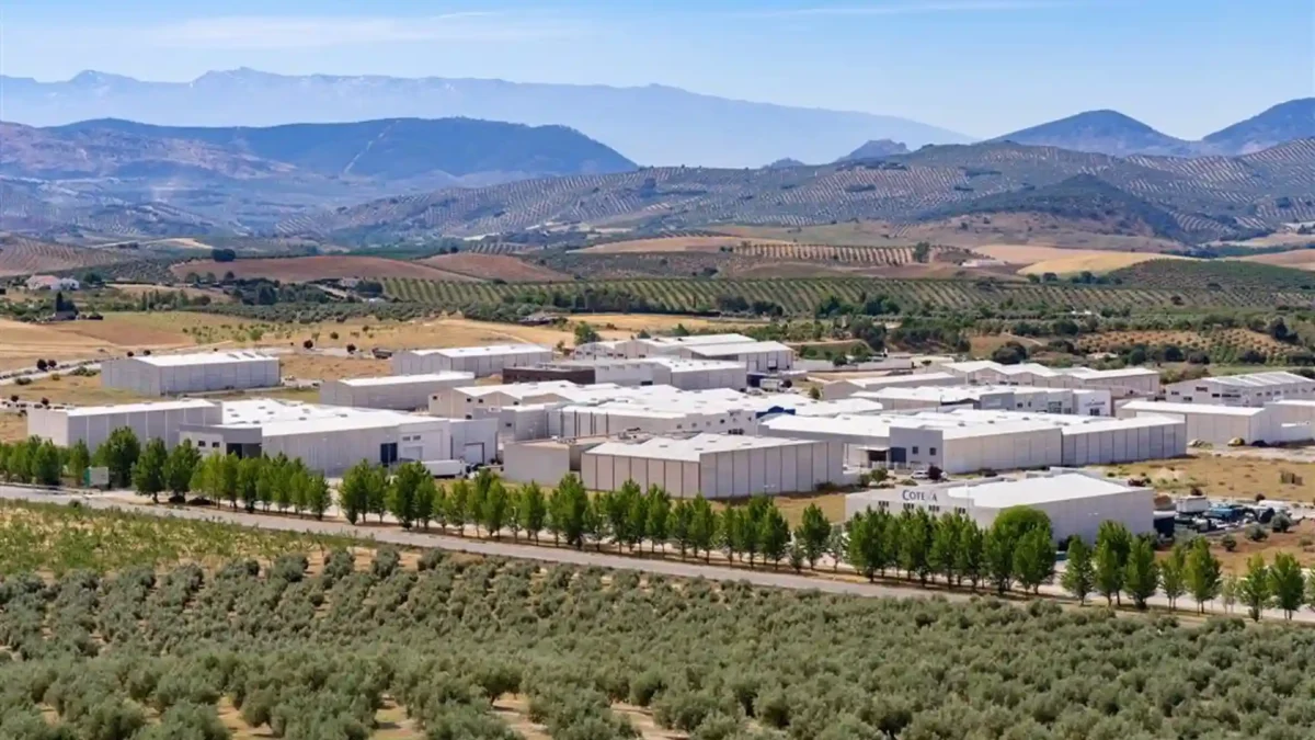 La Junta lanza una oferta para la venta de inmuebles con 139 solares, 43 garajes y 25 locales, En la imagen Llanas del Mozuelo en Alcalá la Real (Jaén). - JUNTA DE ANDALUCÍA