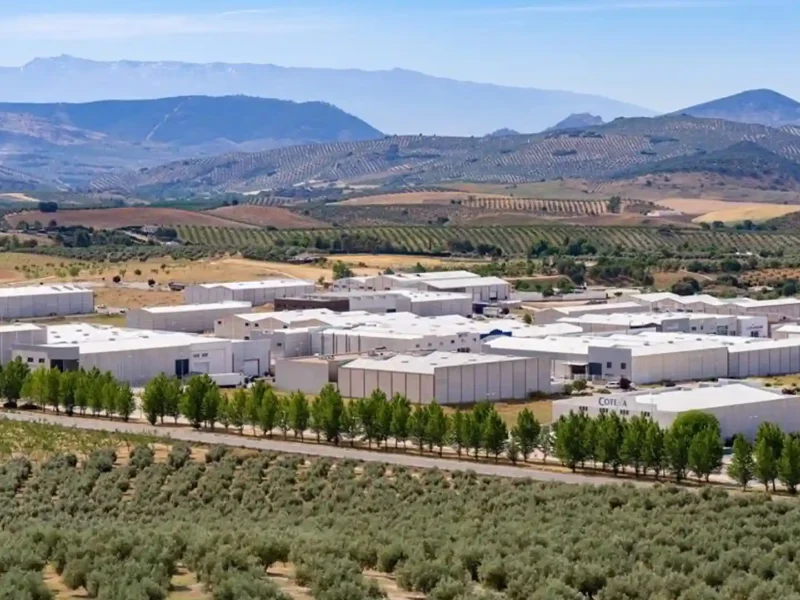 La Junta lanza una oferta para la venta de inmuebles con 139 solares, 43 garajes y 25 locales, En la imagen Llanas del Mozuelo en Alcalá la Real (Jaén). - JUNTA DE ANDALUCÍA