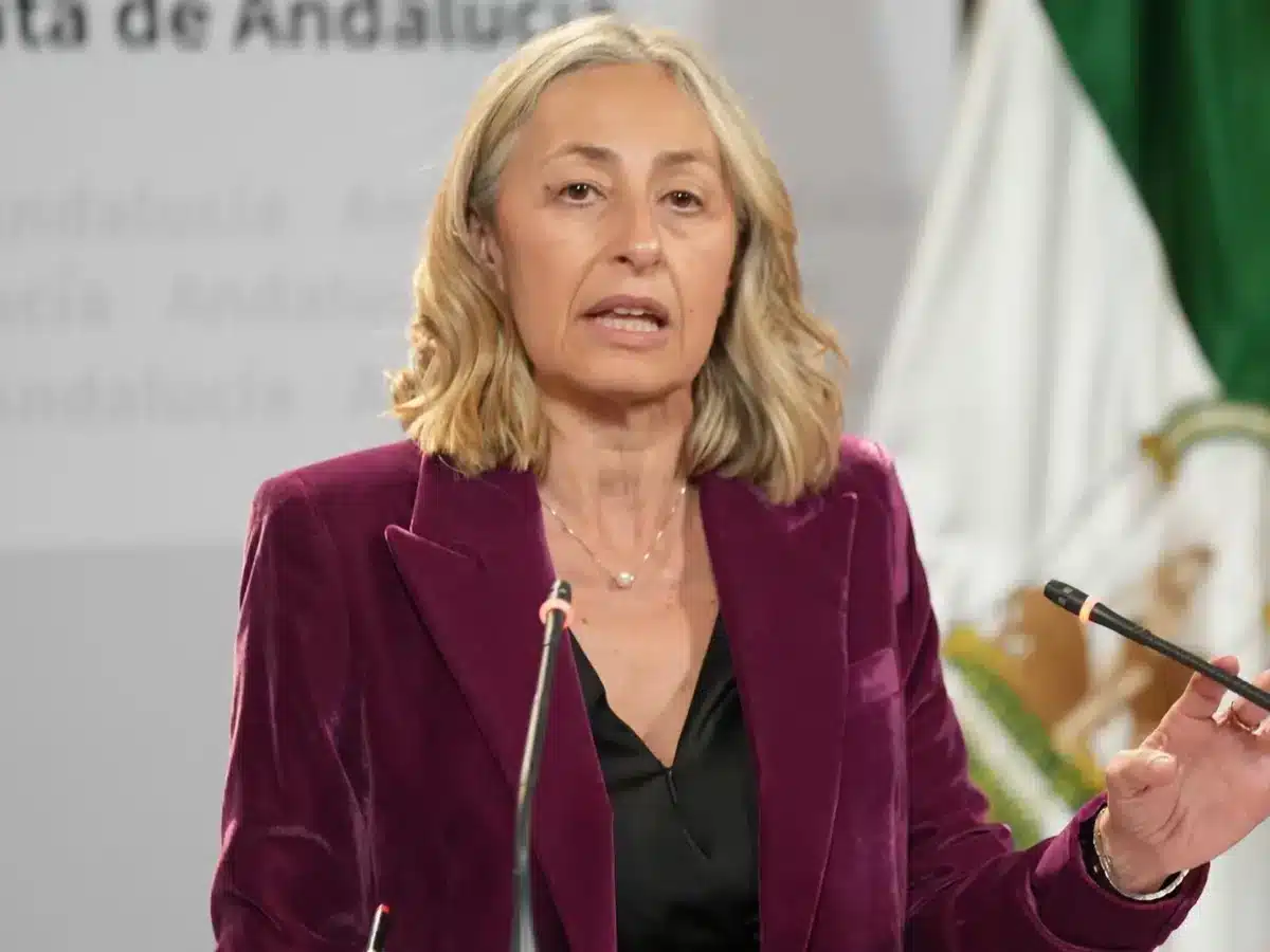 La consejera de Salud y Consumo, Rocío Hernández, este martes en la rueda de prensa del Consejo de Gobierno. - María José López - Europa Press