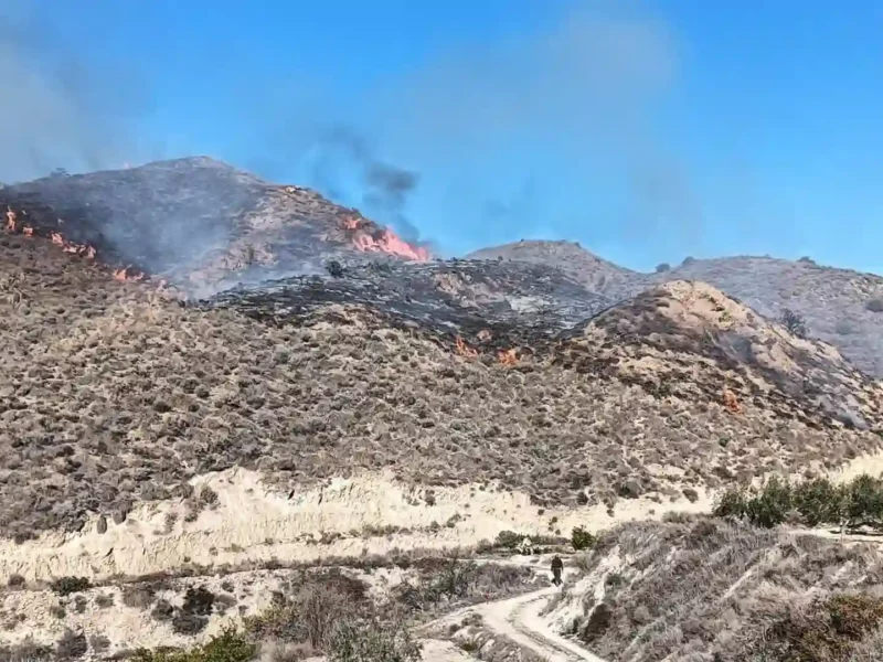 Incendio en el paraje El Saltador Alto de Carboneras (Almería). - INFOCA