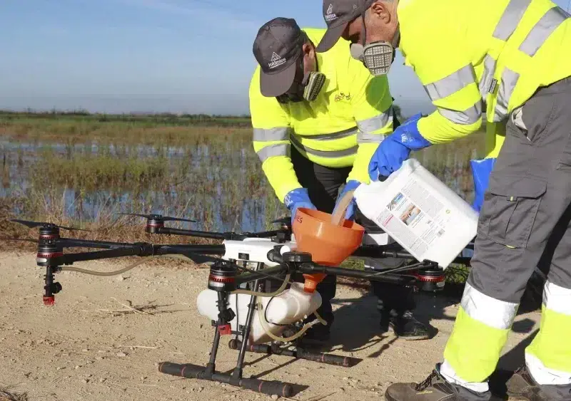Un dron interviene en la campaña para el tratamiento contra los mosquitos que propagan el Virus del Nilo Occidental (VNO) sobre un arrozal. Archivo Rocío Ruz