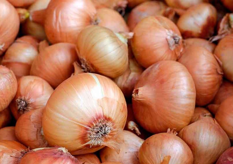 cebollas