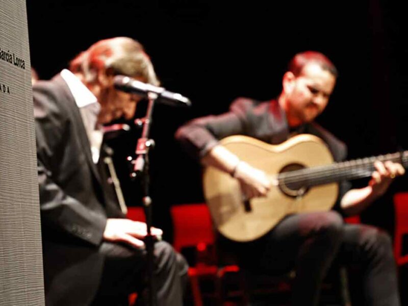 Actuación durante la presentación del programa 'Flamenco García Lorca', que ha tenido lugar en el Centro Federico García Lorca de Granada.