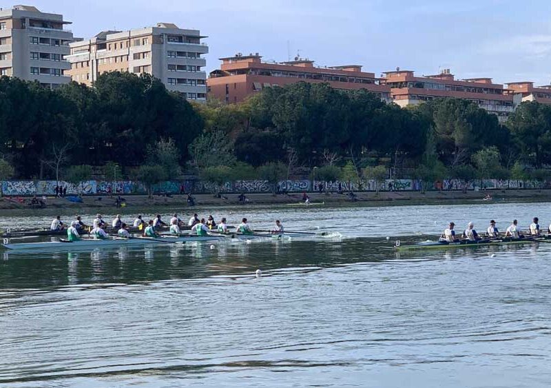 Prueba de ocho con timonel. - Federación Andaluza de Remo