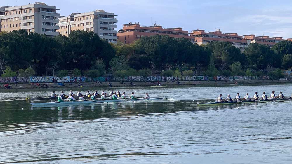 Prueba de ocho con timonel. - Federación Andaluza de Remo