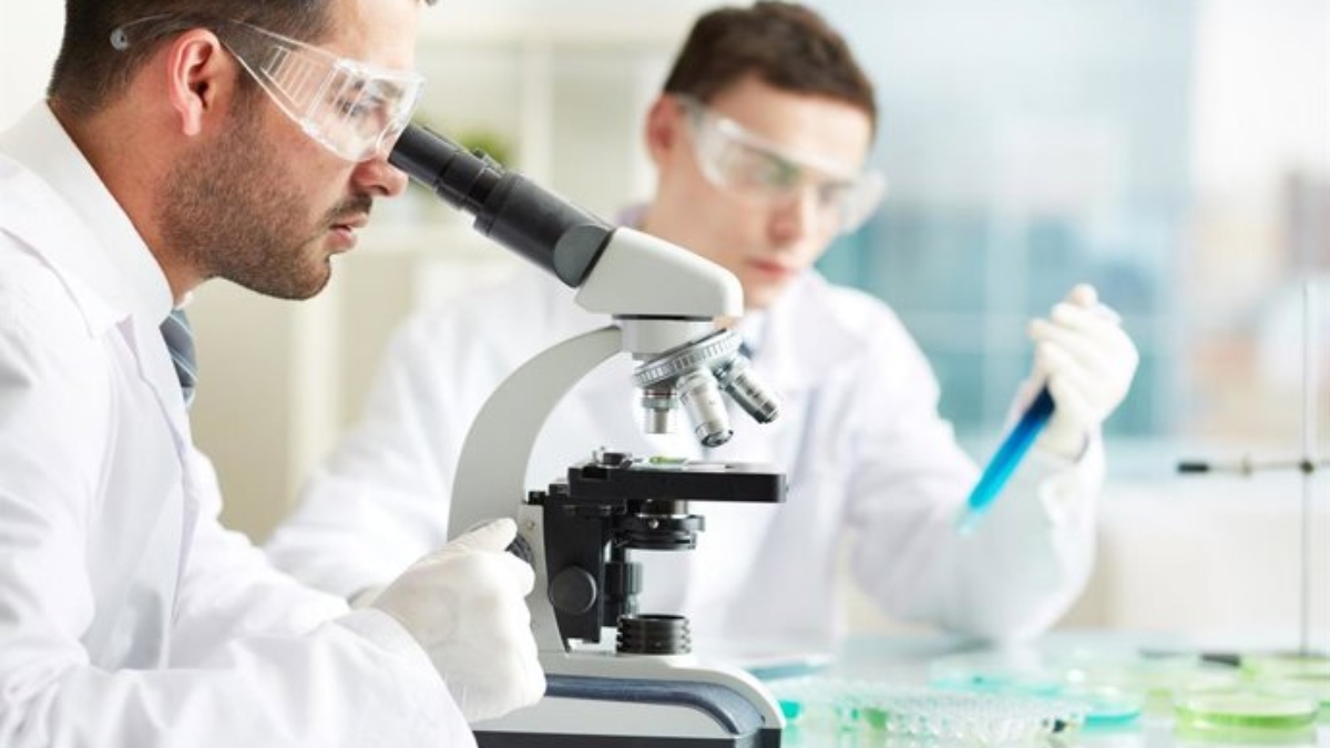 Análisis en un laboratorio sobre presencia del virus de gripe aviar - JUNTA DE ANDALUCÍA