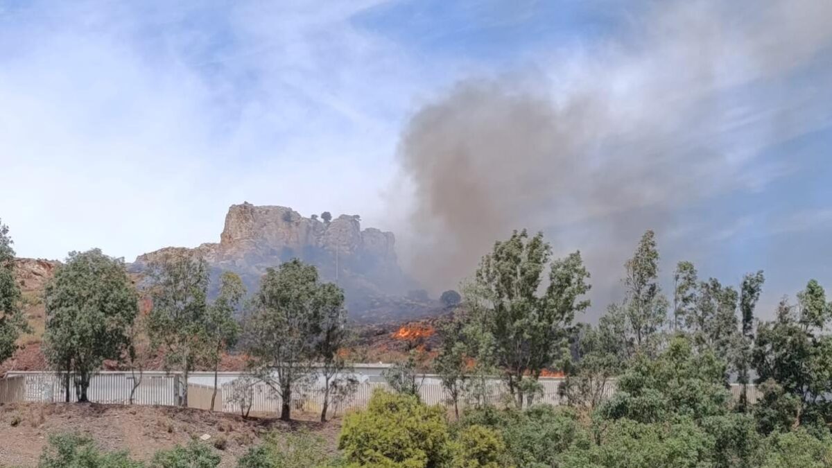 Incendio en la provincia de Málaga este lunes