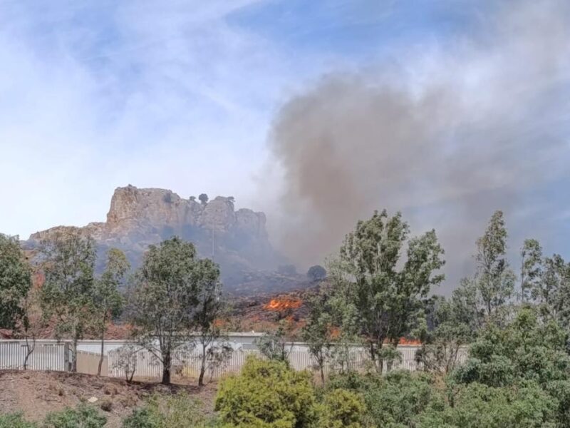 Incendio en la provincia de Málaga este lunes