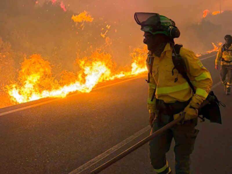 El incendio en Los Gallardos, el más mortífero de este siglo en Andalucía