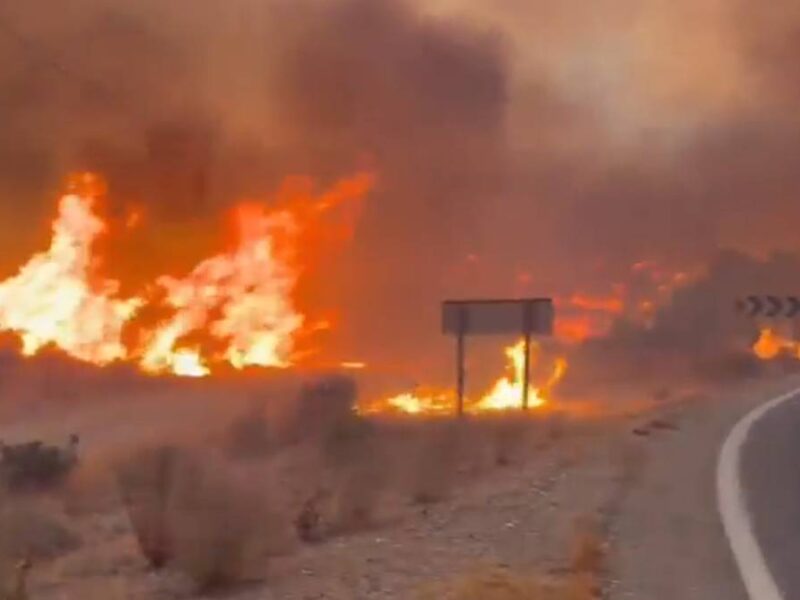 Al menos once muertos y 19 desaparecidos en el devastador incendio de Los Gallardos